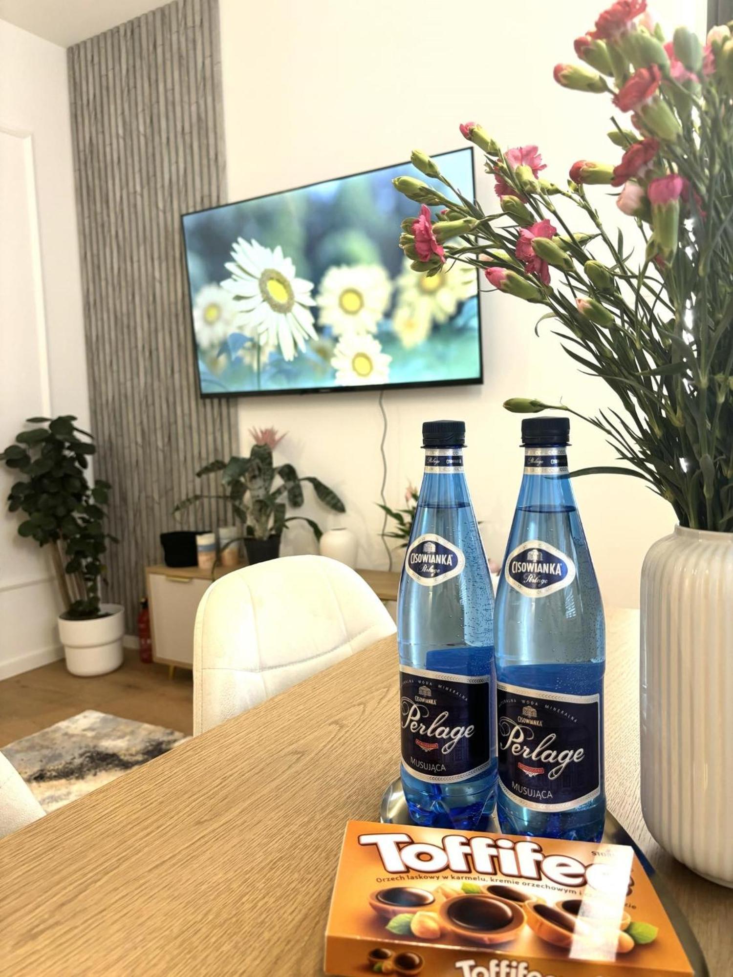 Apartament Pod Wieza 1 Walbrzych Ngoại thất bức ảnh